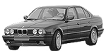 BMW E34 P0100 Fault Code