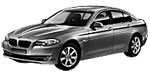 BMW F10 P0100 Fault Code